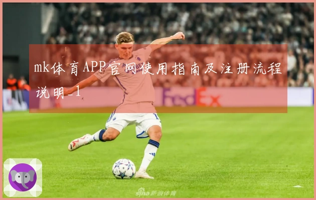 mk体育APP官网使用指南及注册流程说明_1