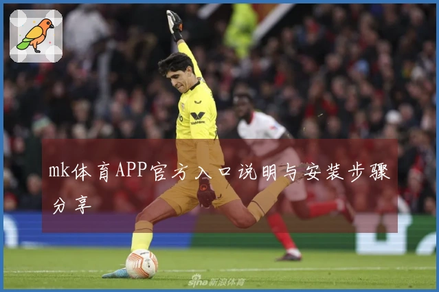mk体育APP官方入口说明与安装步骤分享