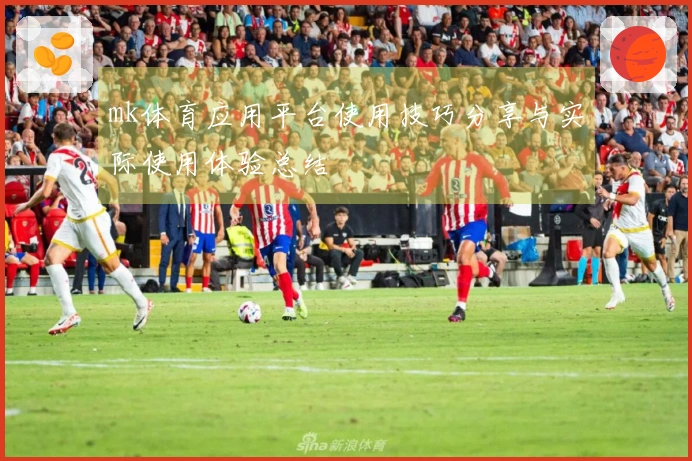 mk体育应用平台使用技巧分享与实际使用体验总结