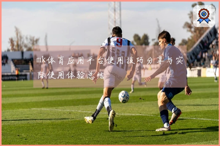 mk体育应用平台使用技巧分享与实际使用体验总结